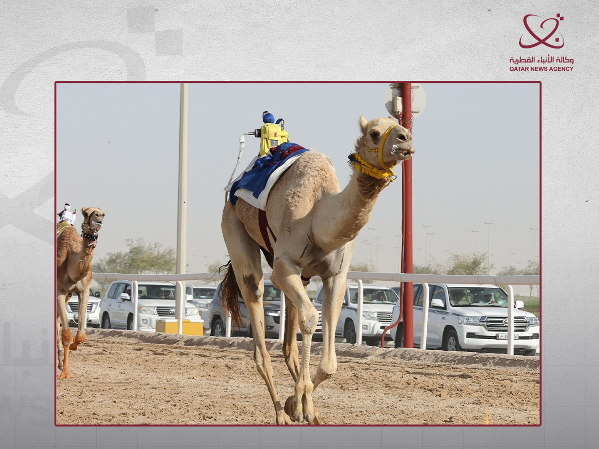 Qatar News Agency