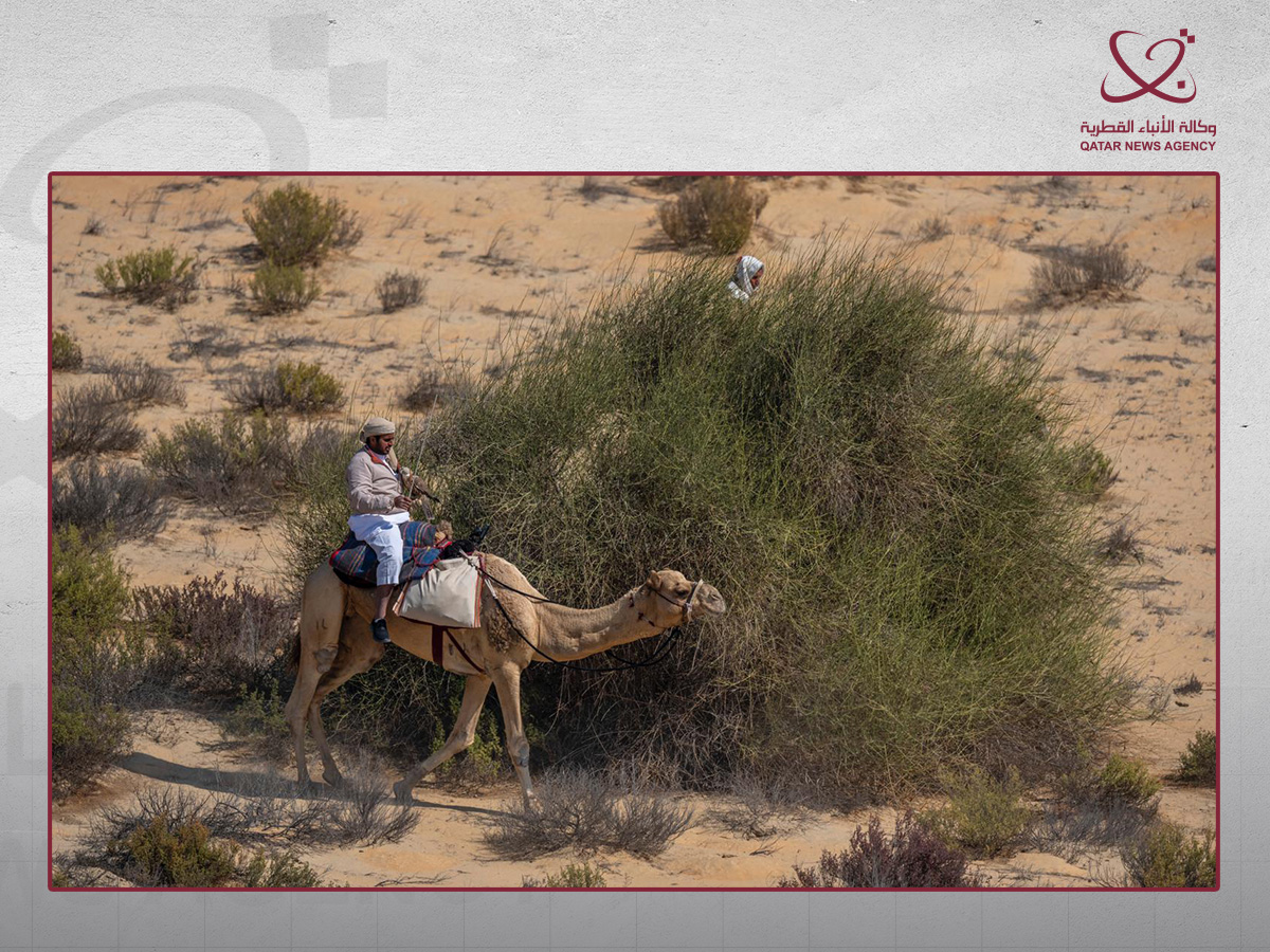 Qatar News Agency