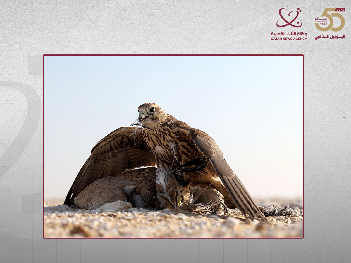 Qatar News Agency